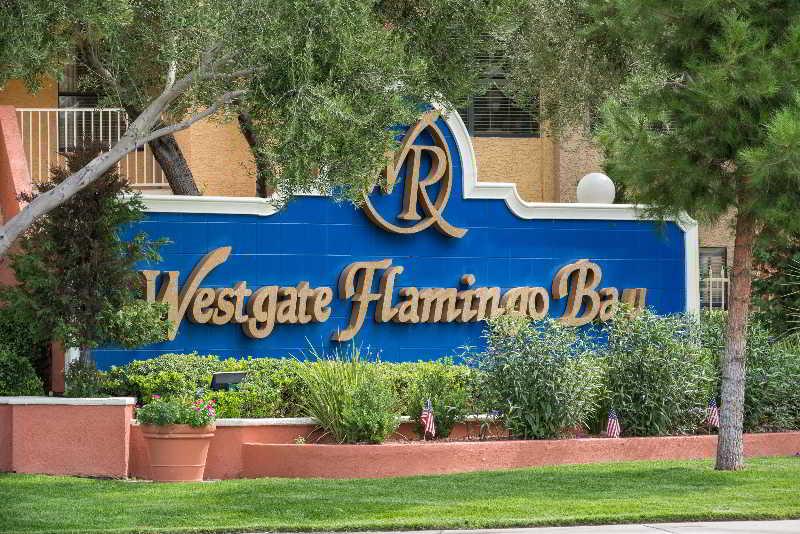 Westgate Flamingo Bay Resort Las Vegas Esterno foto
